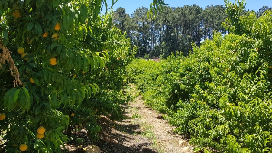 Commercial Property for Sale in Stellenbosch Farms Western Cape